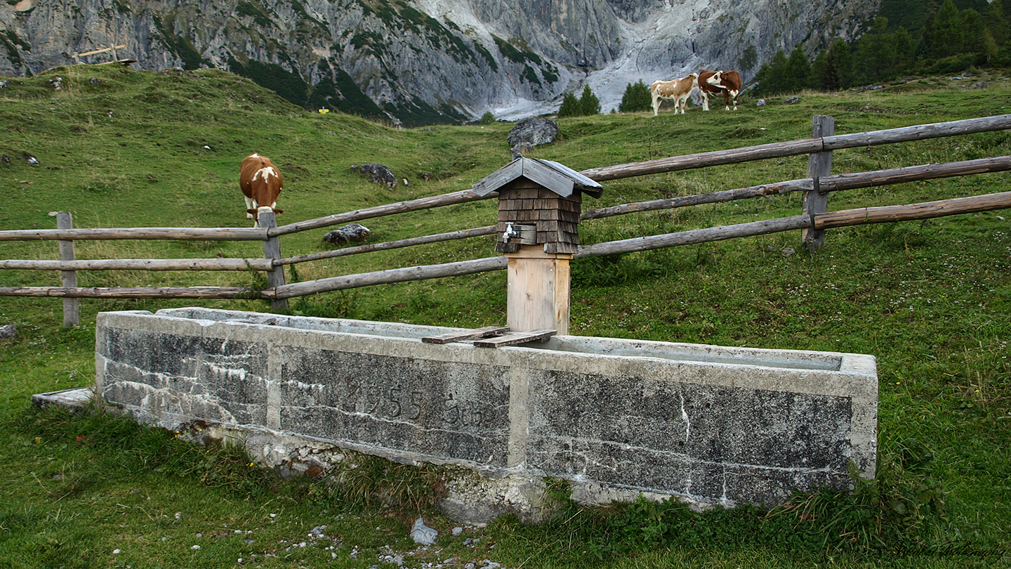 Water Fountain in the Alps