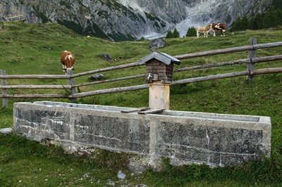 Water Fountain in the Alps